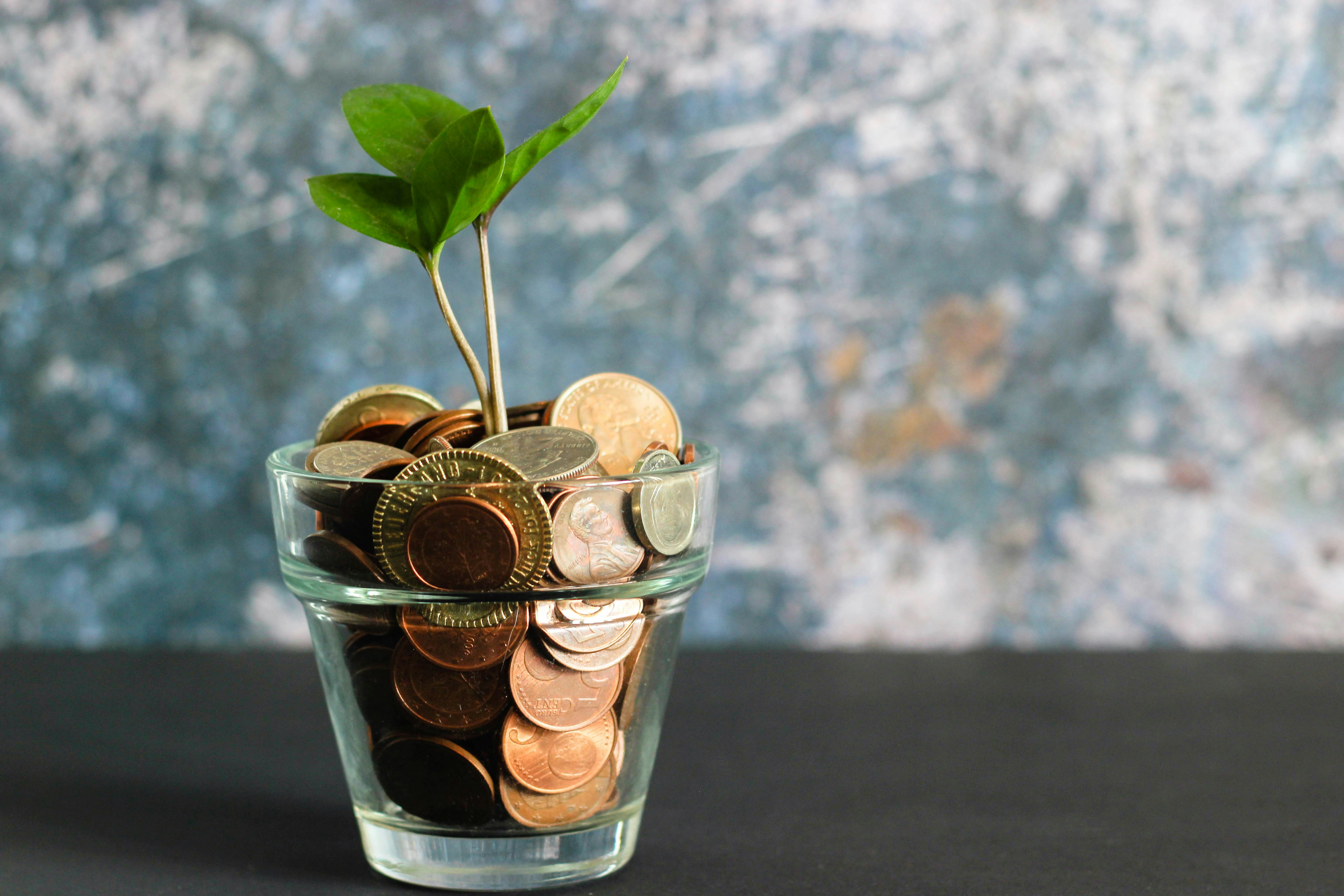 The Hidden Costs of 'Catastrophic' Health Plans for Freelancers (And When to Avoid Them)